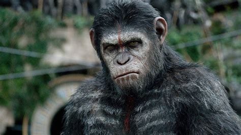 ‎dawn Of The Planet Of The Apes 2014 Directed By Matt Reeves