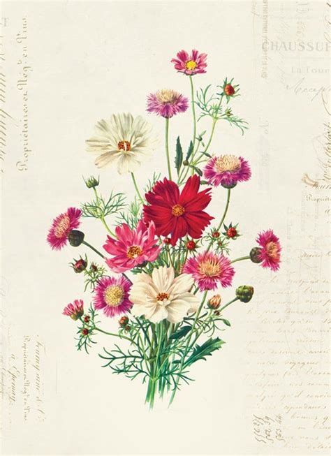 Vintage Floral Tattoos Vintage Floral Print Vintage Botanical