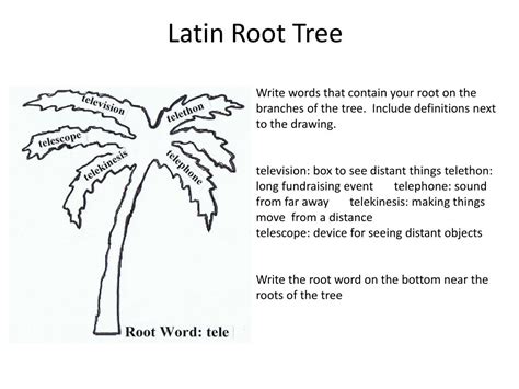 Ppt Latin Root Homework Powerpoint Presentation Free Download Id