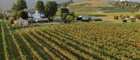 Virginia Wineries With Fine Dining Wine And Country Life