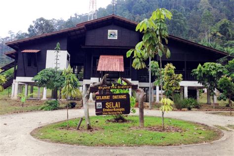 Taman negara endau rompin adventure camp provides team building packages, jungle survival program, leisure adventure packages for corporate, family and student group. Official Portal Of Tourism Pahang - Endau-Rompin State Park