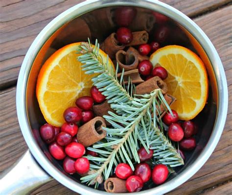 Diy Christmas Scents 10 Easy Ways To Make Your Home Smell Like