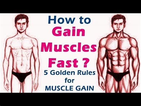 Easy methods to achieve muscle quick | bodybuilding muscle ...