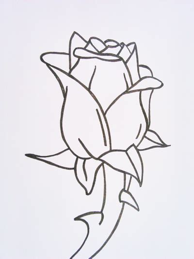 imagenes de rosa para dibujar a lapiz dibujos faciles paso a paso dibuja una rosa cerys