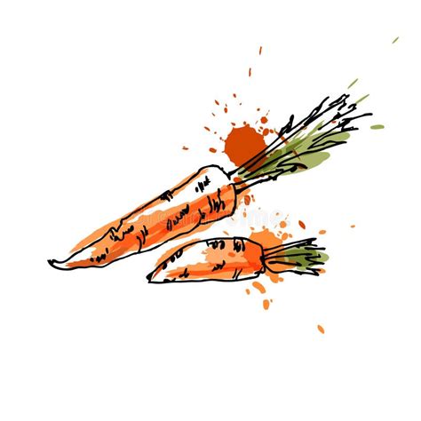 Carrots, Drawing by Watercolor and Ink with Paint Splashes on White