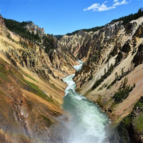 Lower Yellowstone River Falls Yellowstone National Park 2023 What