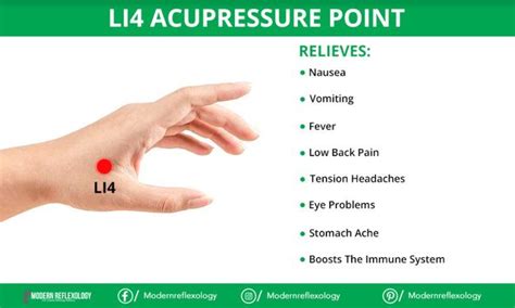Li4 Acupressure Point Acupressure Acupressure Points Reflexology Pressure Points
