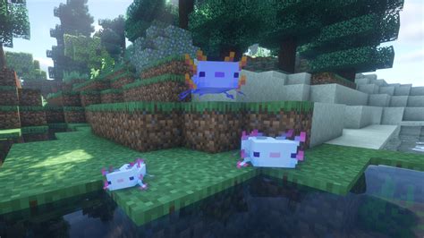 Minecraft Axolotl Guide How To Find Breed And Tame Slotofworld