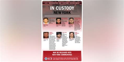 Ice Issues List Of ‘fugitive Illegal Immigrants Freed By New York City