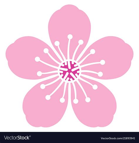 Cherry Blossom Flower Royalty Free Vector Image