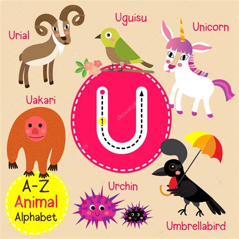 Lindos Niños Zoológico Alfabeto U Carta Trazado De Dibujos Animados