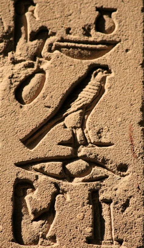 The Bird Is The Word The Words The Bird Kemet Egypt Hieroglyphics Ancient Egyptian Bird