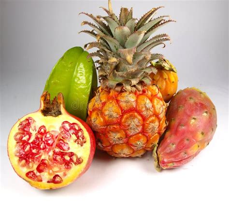Exotic Fruits Stock Photo Image Of Green Desert Blue 11303102