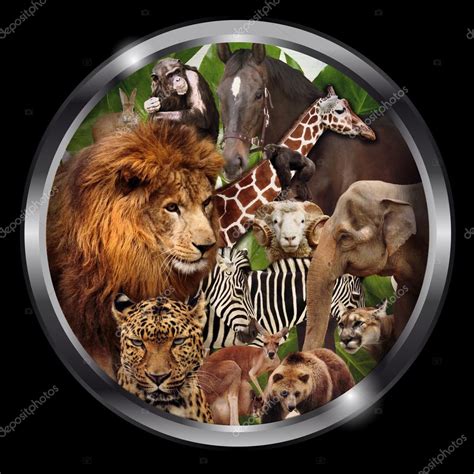 A group of animals, Zoo graphic design — Stock Photo © emeget #117467236