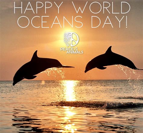 Celebrate World Oceans Day 2017 World Animal News