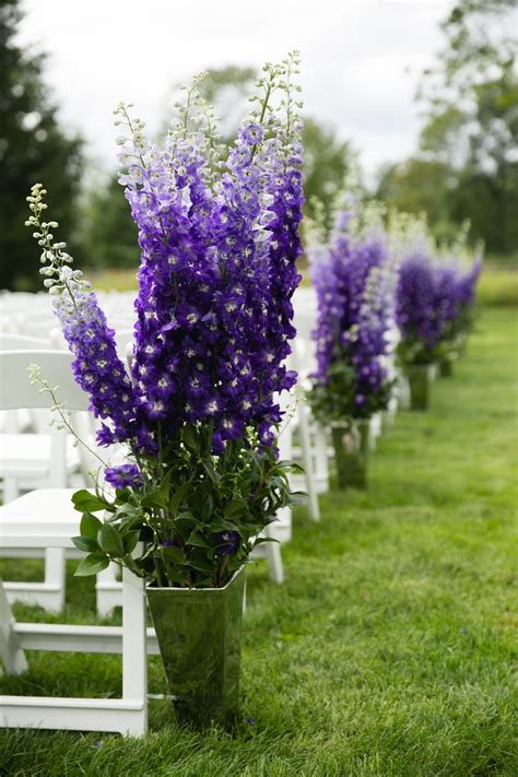 Starry flowers seem to explode on this towering beauty, which grows 5 to 6 feet tall. Tall Purple Aisle Flower Decor in Backyard | Aisle flowers ...