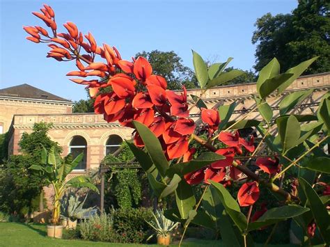 We did not find results for: Botanischer Garten Karlsruhe - Aus Liebe zu den Pflanzen