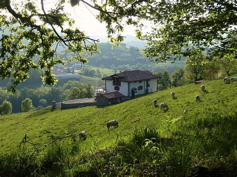 Edificio de nueva construcción sobre el terreno que ocupó hasta la fecha casa morgota, combinando materiales de alta calidad. Casa Rural en Baztan Gamiokoborda - Gamiokoborda - Casa ...