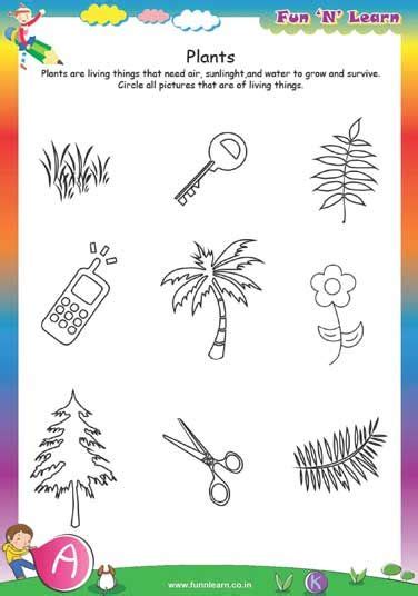 10 best lkg worksheet images on pinterest lkg worksheets