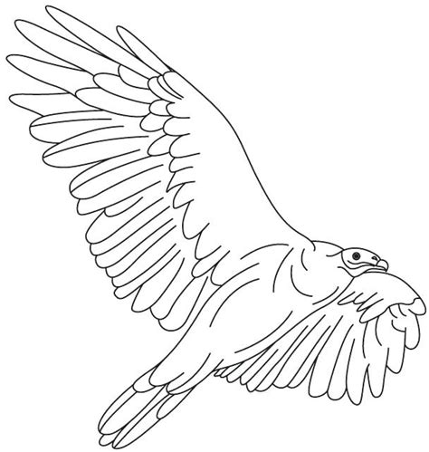 A vulture is a scavenging bird of prey. Turkey Vulture Coloring Page at GetDrawings | Free download