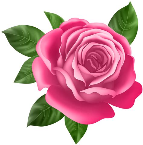 Pin the clipart you like. Pink Rose Transparent PNG Clip Art | Gallery Yopriceville ...