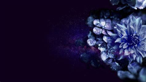 What you need to know is that these images that you add will neither increase nor decrease the speed of your computer. Flowers 4K wallpapers for your desktop or mobile screen ...