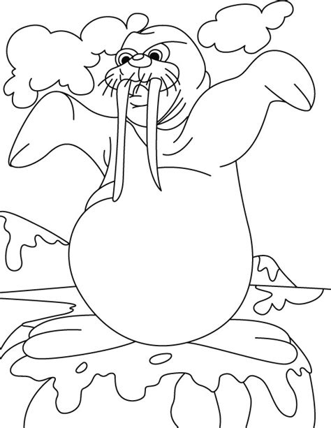 The body length of a walrus can reach more than four meters, and its weight is from one and a half to two tons. 12 Free Animal Walrus Coloring Sheet For Kids