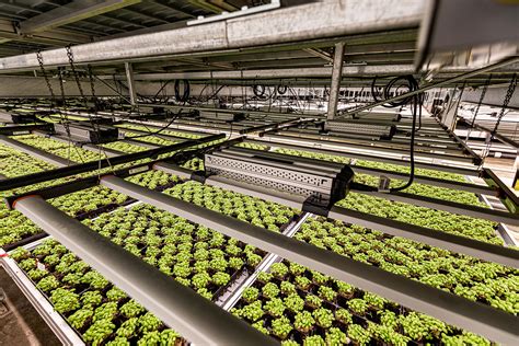 Vertical Farmings Soli Organic Says Farming Headed Indoors Bloomberg