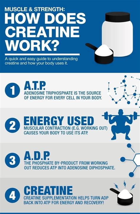How Creatine Monohydrate Helps In Fueling Muscles Quora