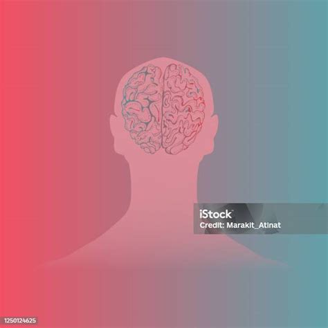 Human Brain Placed In Mans Head Silhouette Stock Illustration