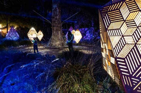 Photos Enchanted Forest Of Light Returns To Descanso Gardens For A