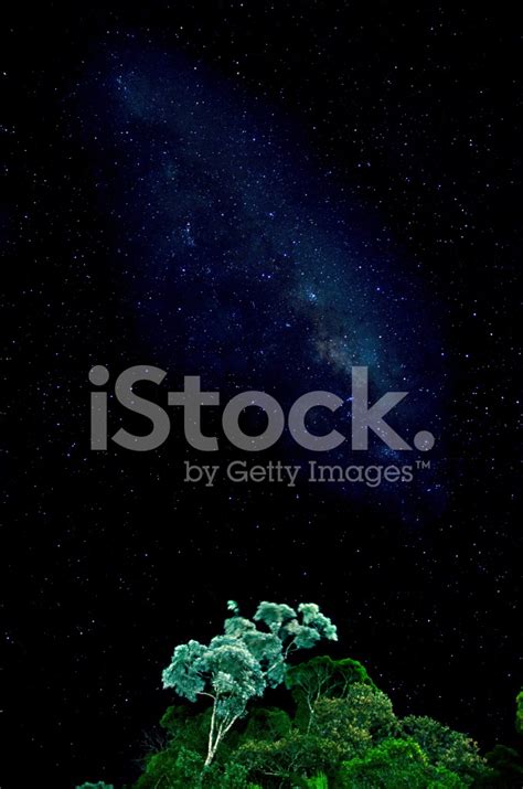 Night Sky Stock Photo Royalty Free Freeimages