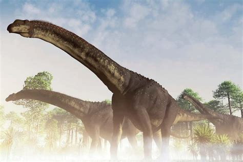 From Argentina Highlight The Biggest Creature Ever On Record Dinosaur