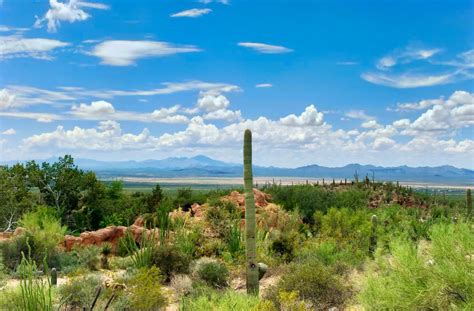 Arizona Sonora Desert Museum Vacation Rentals Hotel Rentals And More Vrbo