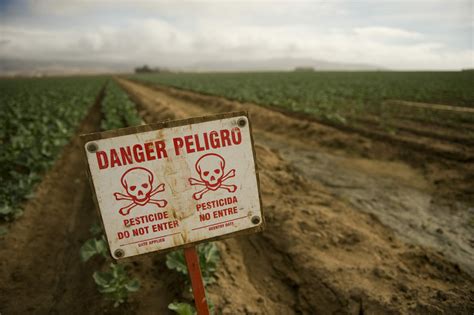 Warning Signs How Pesticides Harm The Young Brain Food And