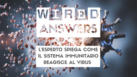 Wired Answers Sul Coronavirus Come Cambia La Risposta Immunitaria In