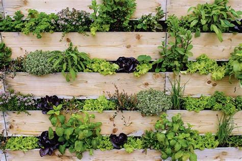 Vertical Gardening How To Use Vertical Planting To Maximise A Small Space