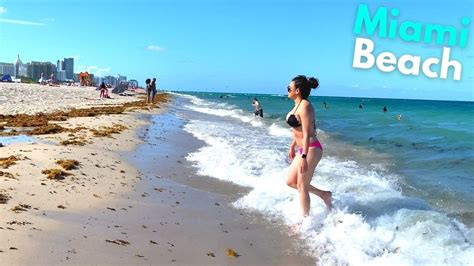 4k miami beach walk bikini beach miami south beach la vie zine