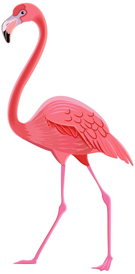 Pin By Kim Reed On Thứ Cần Mua Flamingo Clip Art Flamingos Art