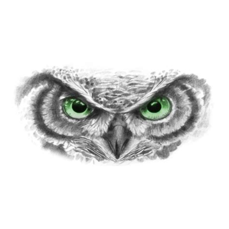 Owl Eyes Drawing Tattoo