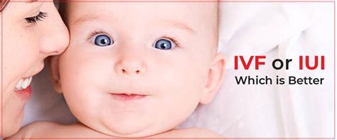 Ivf Vs Iui Which Is Better Imprimis Ivf