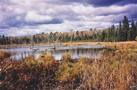 Réservez des vols pas chers pour hovland : Lots and Land for sale in Hovland, Minnesota, 6029353