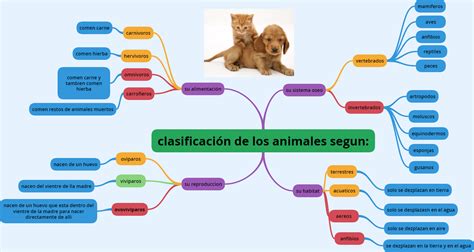 Ciencias Naturales Grado Segundo Mapa Mental Clasificacion De Los Animales