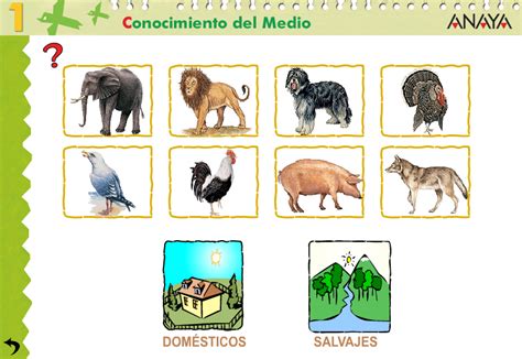 Fotos De Animales Domesticos Y Salvajes Imagui
