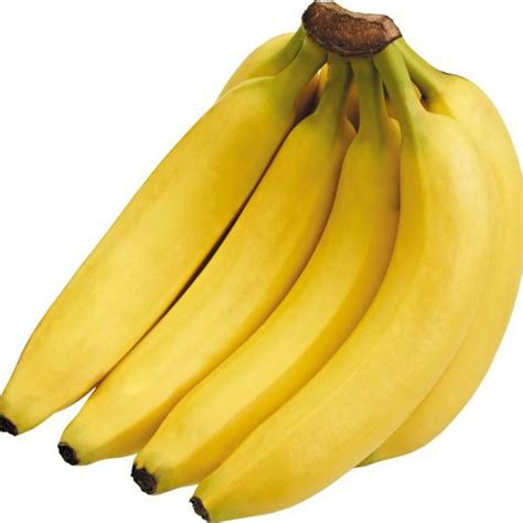 Pisang ini terlihat jelek di bagian kulit luarnya,namun dalam nya bagus,rasa nya manis dan enak,pisang ini dinamakan pisang ambon lumut karena kulit nya yang menghitam seperti berlumut, buah pisang ini banyak mengandung serat,sangat baik untuk pencernaan kita,pisang ini. 20+ Macam Macam Pisang Lengkap Dengan Gambarnya
