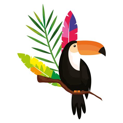 Toucan Vector Art Icons And Graphics For Free Download