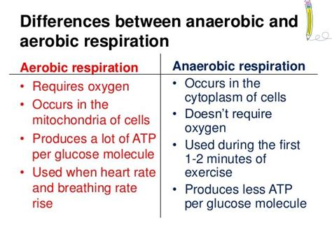 Explain The Difference Between Aerobic And Anaerobic