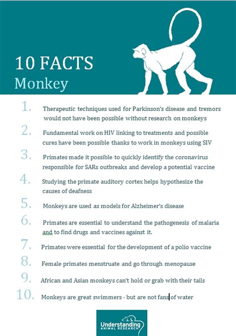 Jun 24, 2020 · i found one yesterday and looked it up on the internet. Monkey | Understanding Animal Research | Understanding ...