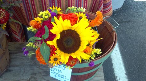 We did not find results for: Bloomington Farmer's Market | Flower arrangements, Farmer ...