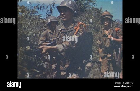 1960s South Vietnamese Soldiers March Vietcong Soldiers Out As